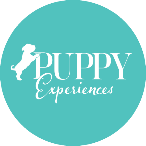 Puppy Experiences