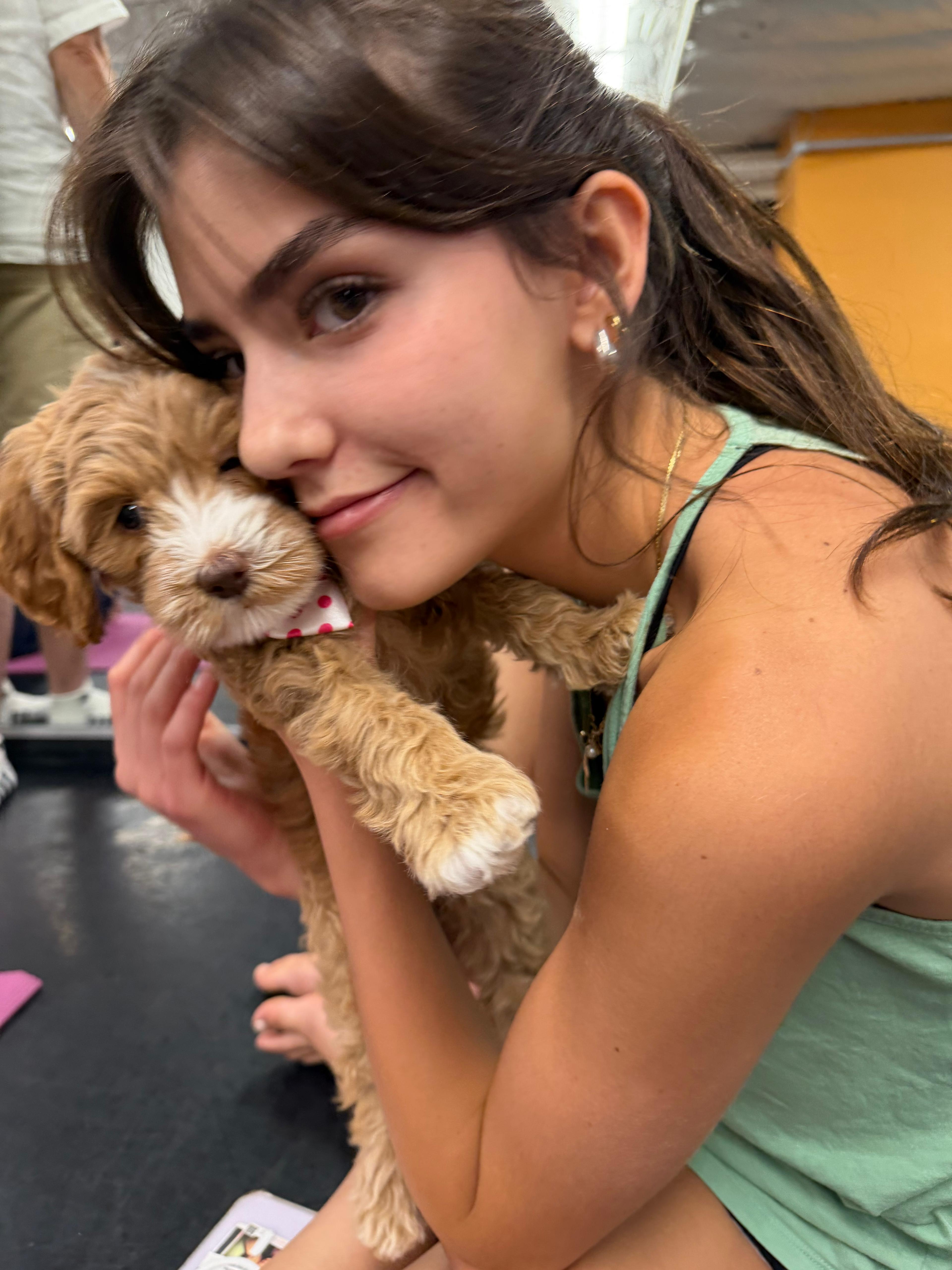 A guest and a puppy