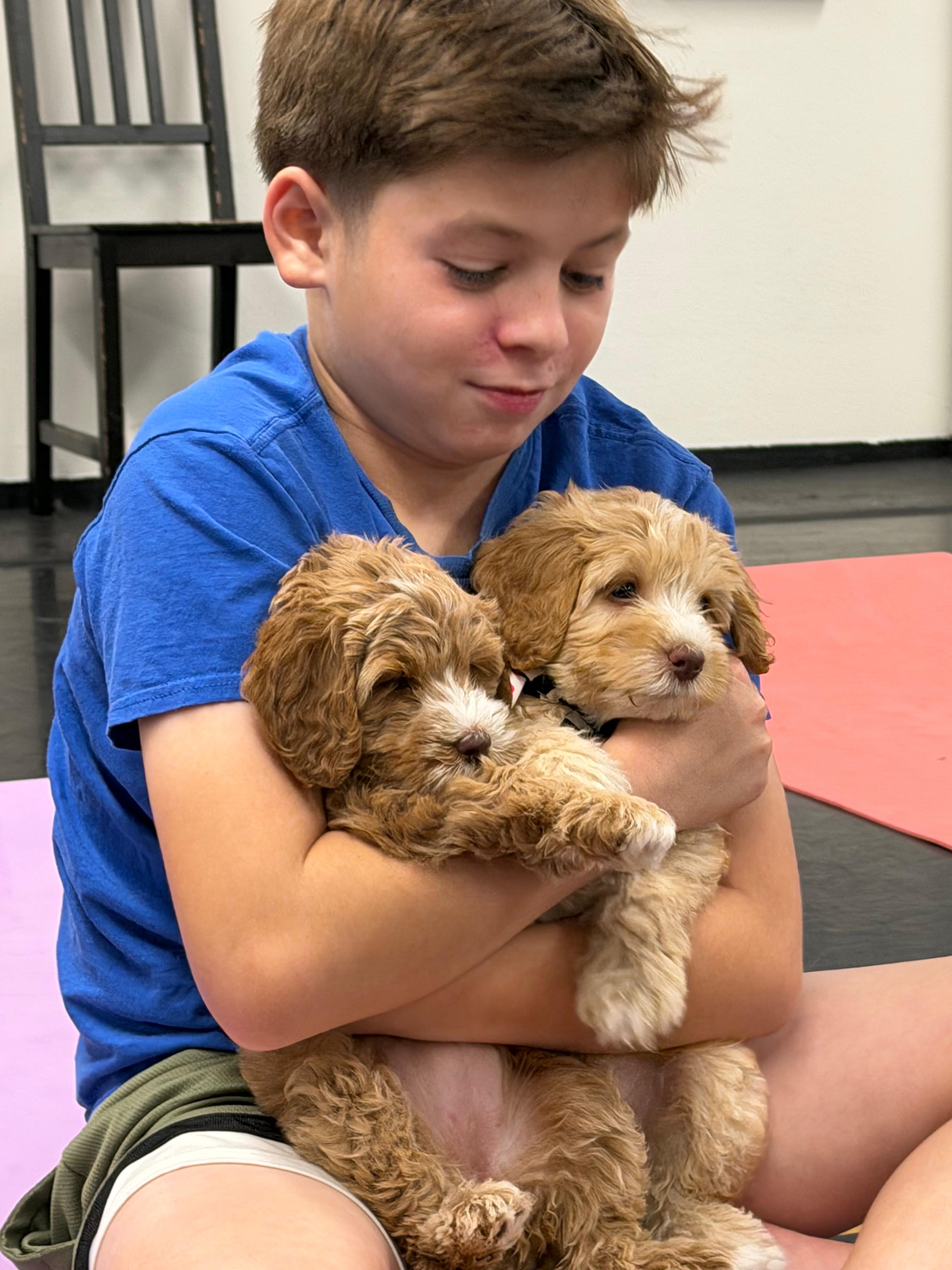 Hero — a child with two puppies in his arms