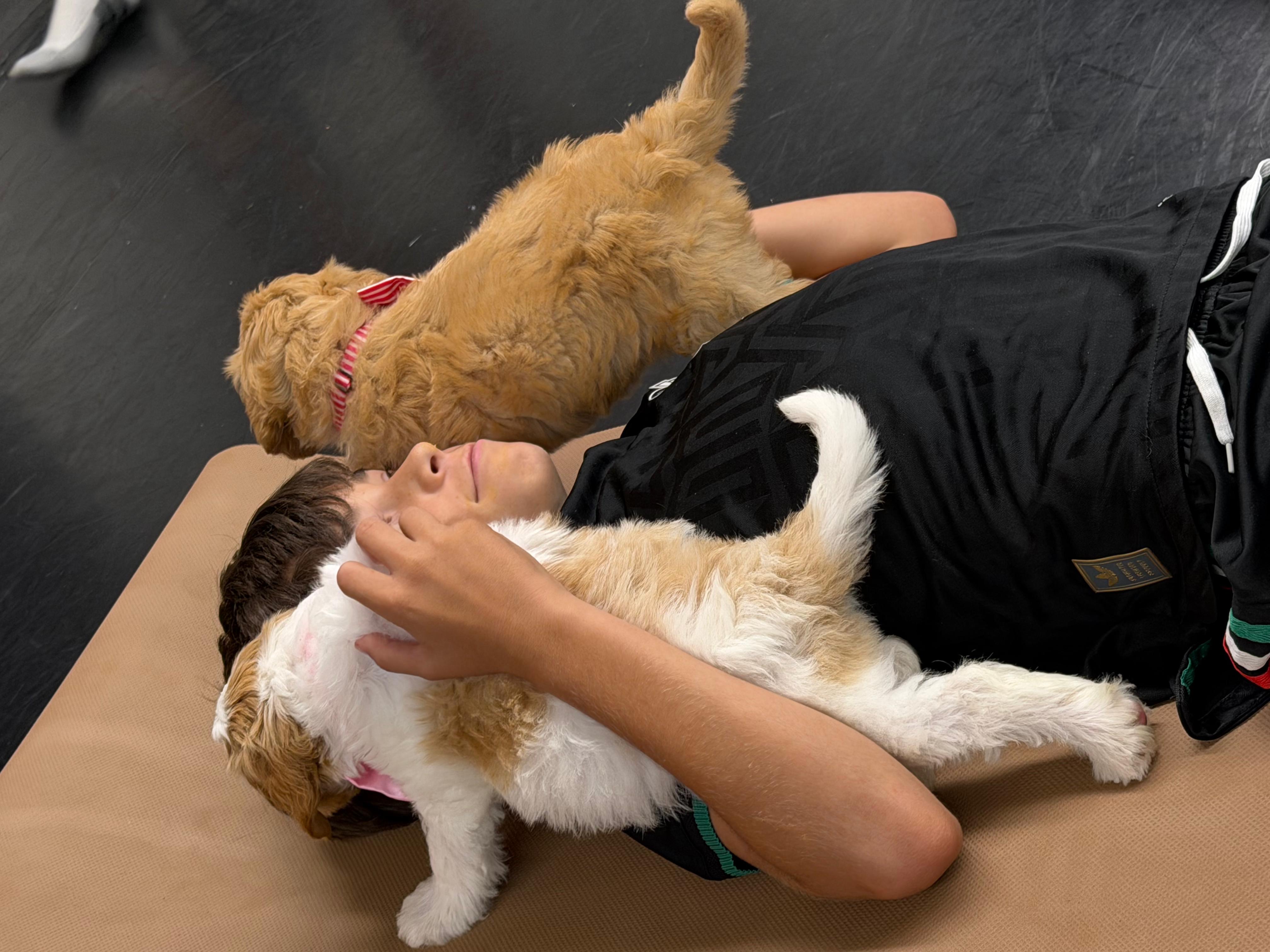 Private event — a small group in a beautiful room with puppies