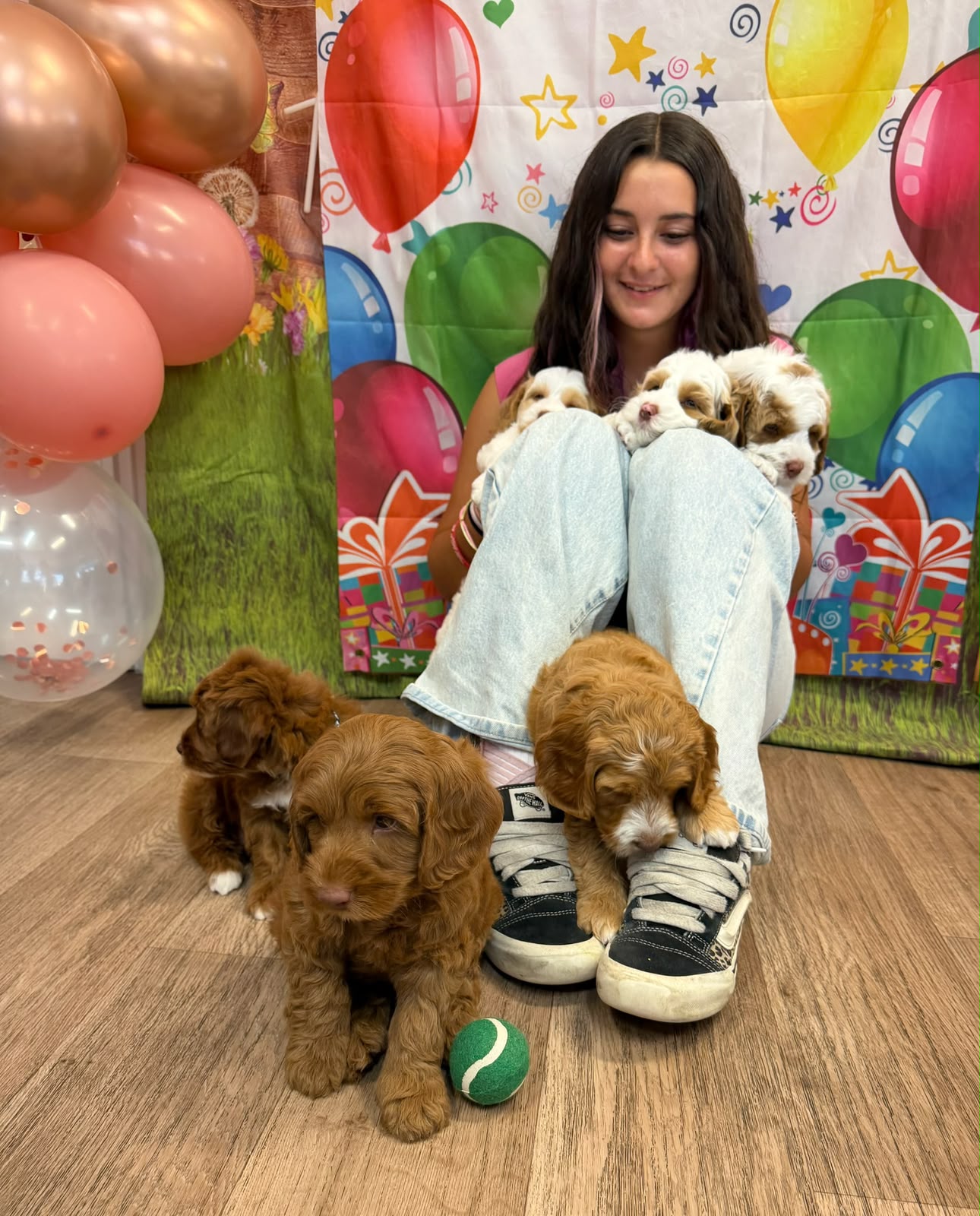 A party at a guest's home — balloons, backdrop and puppies