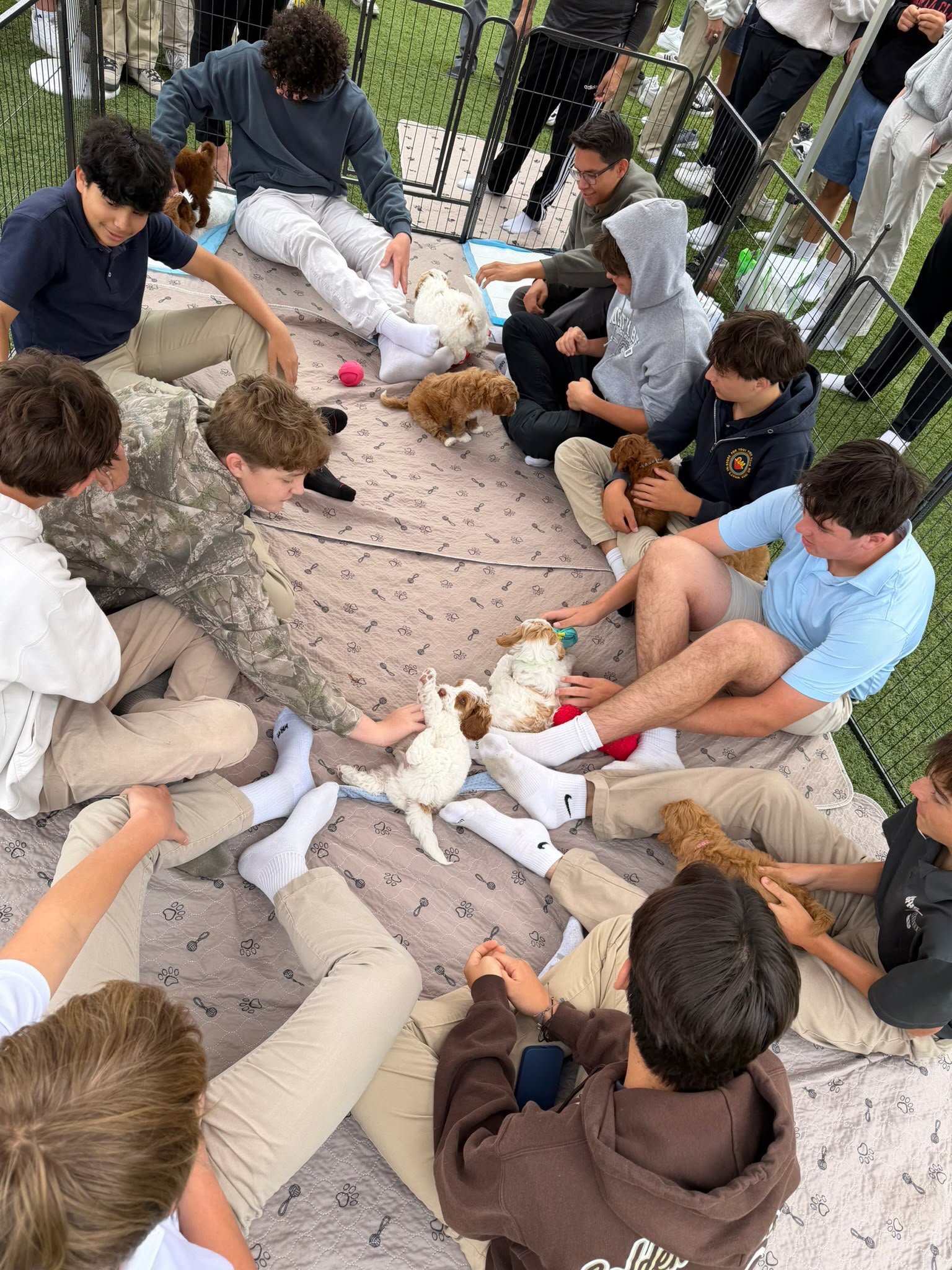 Hero — a school visit, students in a circle around the pen